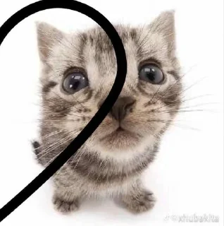 💗 emoji Вахуи69 @nkz77 Telegram sticker 19 of 19