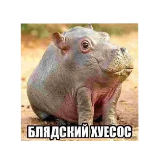 🌟 emoji для переговорів Telegram sticker 21 of 53