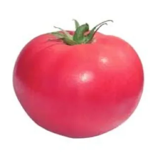 🍲 emoji Стики Telegram sticker 16 of 120
