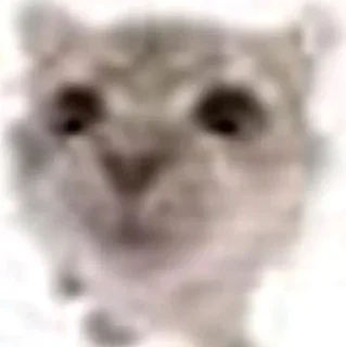 🐱 emoji акутагава @qqwerly. Telegram sticker 9 of 43