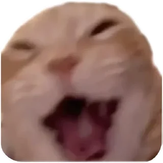 🤲 emoji @Furkatovvcc7 Telegram sticker 23 of 52