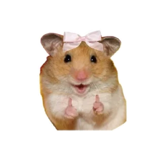 Sticker from qeueioph