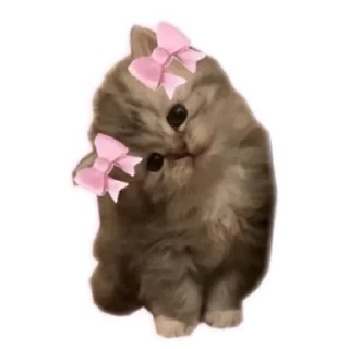 Sticker from qeueioph