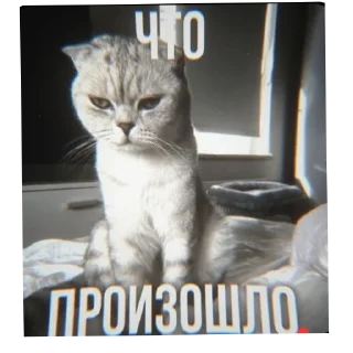 🤔 emoji ДИПИНСЦ 💥 Telegram sticker 24 of 48