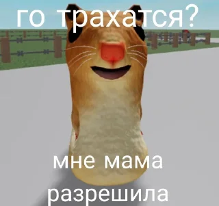 Sticker from Стикеры @stickrubot @textmeru_bot