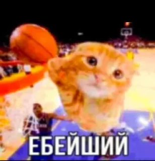 😒 emoji оло Telegram sticker 23 of 120