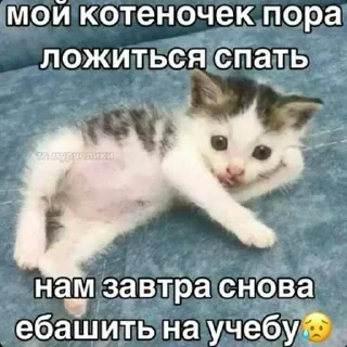 😳 emoji оло Telegram sticker 20 of 120
