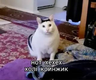 Sticker from Стікерпак кринжа