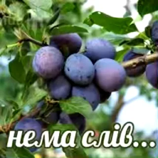 Sticker from Стикеры хорошего человека