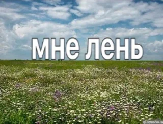 🌟 emoji гриль черемша кактус Telegram sticker 11 of 72