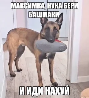 Sticker from чепуха