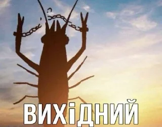 🌟 emoji гриль черемша кактус Telegram sticker 13 of 72