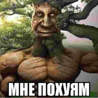 🌳 emoji Дуб🌳 Telegram sticker 9 of 25
