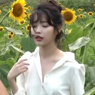 🍢 emoji [ IU; @fp_am ] Telegram sticker 13 of 30