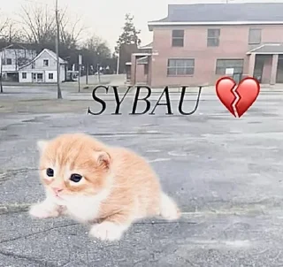 🖕 emoji Sybau💔 pt. 1 | @Terr1onix Telegram sticker 8 of 120