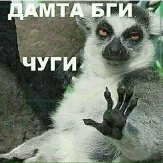 Sticker from memes in tajik