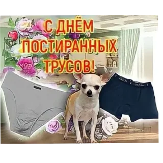 🐶 emoji Мемчики Telegram sticker 9 of 71