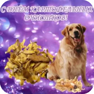 🐶 emoji Мемчики Telegram sticker 11 of 71