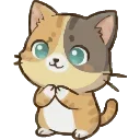🙏 emoji Котенок БоБ @CreateEmojiiBot Telegram sticker 21 of 40