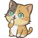 👀 emoji Котенок БоБ @CreateEmojiiBot Telegram sticker 10 of 40