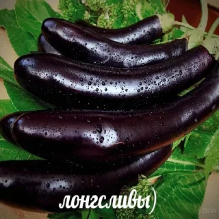 🍆 emoji даун @zagadochniyburgerdaun Telegram sticker 8 of 120