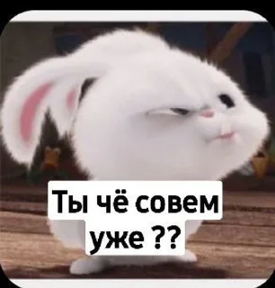 Sticker from ToedHylicWiry