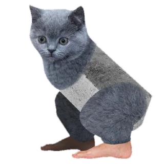 Sticker from Ебать смешно