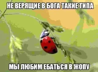 Sticker from Христианские мемы