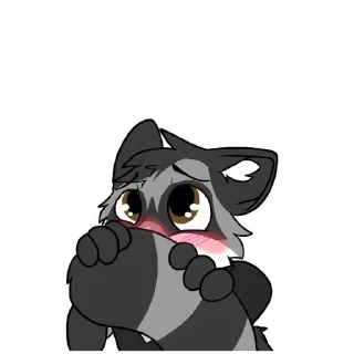 Sticker from Racoon