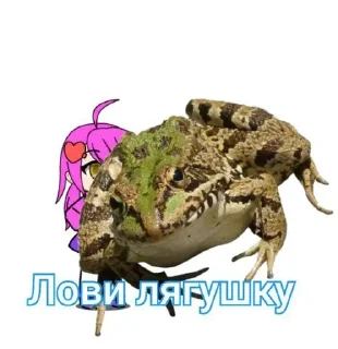 🐸 emoji тяночки и мужик Telegram sticker 11 of 24