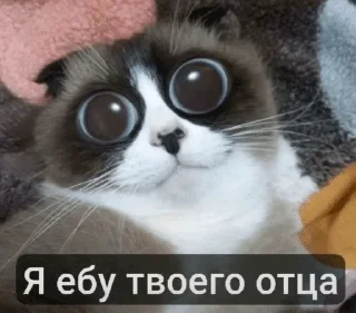 🌟 emoji отказано Telegram sticker 20 of 49