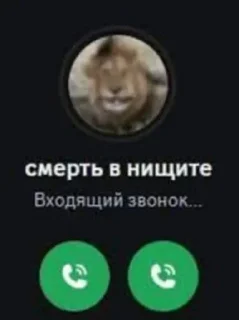Sticker from птички