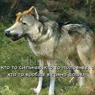 Sticker from нейросетевая философия