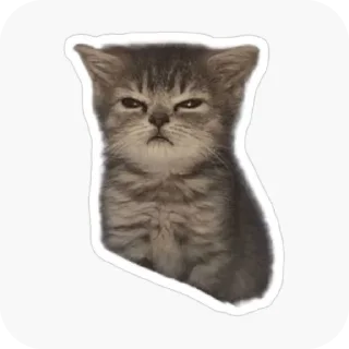 🐱 emoji 🤯🤯🤯 Telegram sticker 12 of 56