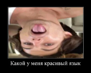 😎 emoji Мемы монешкин Telegram sticker 13 of 46