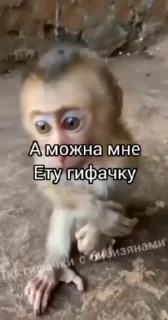 😁 emoji Эщкере ➡️ @Ctikerubot Telegram sticker 20 of 37