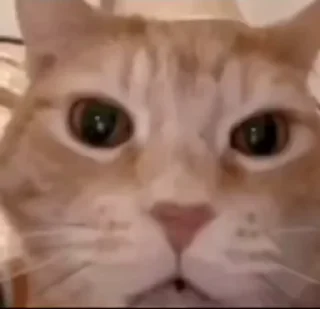 😂 emoji САМЫЕ ПИЗДАТЫЙ НАБОР СТИКЕРОВ Telegram sticker 4 of 105
