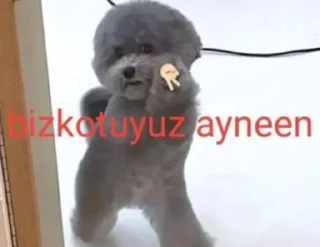 Sticker from for gülü