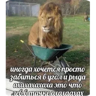 🖼 emoji минами с.п Telegram sticker 14 of 35
