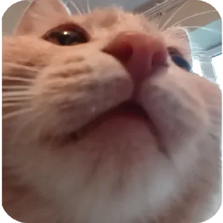 ✋ emoji минами с.п Telegram sticker 9 of 35