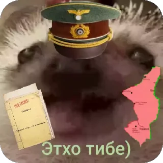 🦔 emoji Ежиная империя Telegram sticker 18 of 25