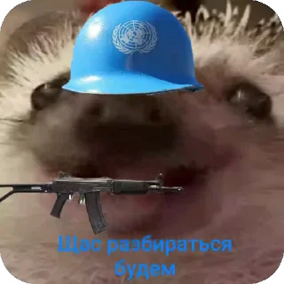 🦔 emoji Ежиная империя Telegram sticker 19 of 25