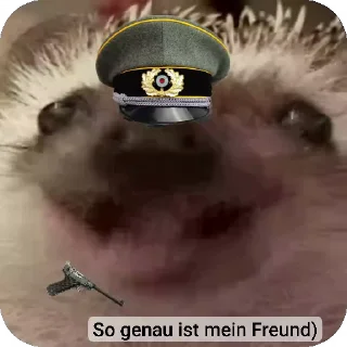 🦔 emoji Ежиная империя Telegram sticker 7 of 25