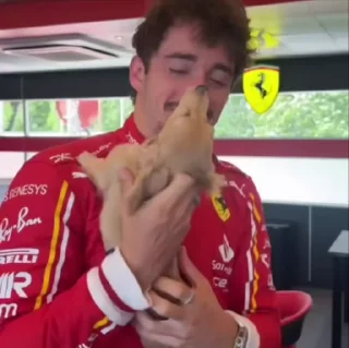 🌟 emoji Charles Leclerc Telegram sticker 10 of 19