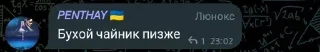 🫖 emoji Похождения Потничей Telegram sticker 13 of 53