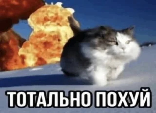 Sticker from Алабай-Ролтон
