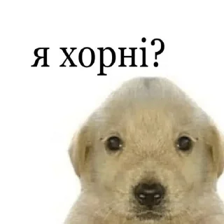 😳 emoji шок Telegram sticker 19 of 42