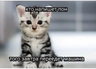 🙂 emoji жизнь Telegram sticker 11 of 32