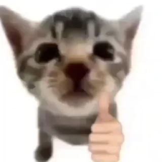 👍 emoji для важных переговоров Telegram sticker 24 of 26