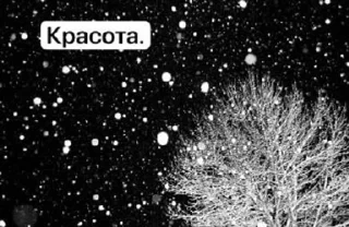 🌟 emoji Зимочка❄️ Telegram sticker 14 of 32